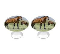 LLUTSNTH Grazing Wild Horses Cabinet Knobs 2 Pack Drawer Pulls Stainless Steel Dresser Knobs Rustic Decorative Cabinet Pull Easy Install Wardrobes Handle with Screws Door Handles Furniture Hardware