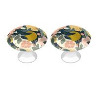 LLUTSNTH Lemon Citrus Pattern Cabinet Knobs 2 Pack Drawer Pulls Stainless Steel Dresser Knobs Rustic Decorative Cabinet Pull Easy Install Wardrobes Handle with Screws Door Handles Furniture Hardware