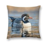 LLUTSNTH Loon Nature Birds Throw Pillow Cover 16 "x16, Cute Cushion Cover Decorative Pillow Case with Invisible Zipper - Plush Farmhouse Fall Decor Pillowcase for Couch, Sofa, Bedroom