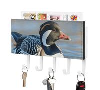 LLUTSNTH Loon Nature Birds Wall Key Holder with 5 Hooks - PU Leather Key Rack Organizer, Entryway Storage for Keys/Masks/Letters, Housewarming Gift for Hallway Kitchen Decor