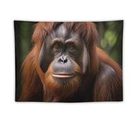 LLUTSNTH Orangutan Taking Photo Tapestry with Hanging Kit, Vintage Aesthetic Tapestry Wall Hanging for Bedroom Living Room Dorm Decor, Bohemian Personalized Backdrop for Home Decoration 30"x40"