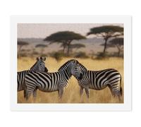 LLUTSNTH Paint by Numbers Kits for Adults, DIY Beginners Paint by Number Kits on Canvas, Africa Grassland Zebra Digital Oil Number Painting, Easy Canvas Art Print Kit for Home Decor Gift 30x40cm