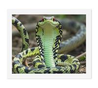 LLUTSNTH Paint by Numbers Kits for Adults, DIY Beginners Paint by Number Kits on Canvas, Cobra Snake Digital Oil Number Painting, Easy Canvas Art Print Kit for Home Decor Gift 40x50cm