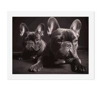 LLUTSNTH Paint by Numbers Kits for Adults, DIY Beginners Paint by Number Kits on Canvas, French Bulldog Digital Oil Number Painting, Easy Canvas Art Print Kit for Home Decor Gift 30x40cm