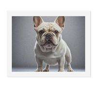 LLUTSNTH Paint by Numbers Kits for Adults, DIY Beginners Paint by Number Kits on Canvas, French Bulldog Digital Oil Number Painting, Easy Canvas Art Print Kit for Home Decor Gift 30x40cm