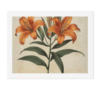 LLUTSNTH Paint by Numbers Kits for Adults, DIY Beginners Paint by Number Kits on Canvas, Orange Lily Plant Digital Oil Number Painting, Easy Canvas Art Print Kit for Home Decor Gift 30x40cm