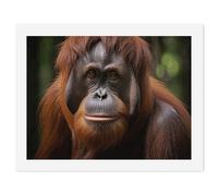 LLUTSNTH Paint by Numbers Kits for Adults, DIY Beginners Paint by Number Kits on Canvas, Orangutan Taking Photo Digital Oil Number Painting, Easy Canvas Art Print Kit for Home Decor Gift 30x40cm