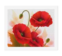 LLUTSNTH Paint by Numbers Kits for Adults, DIY Beginners Paint by Number Kits on Canvas, Poppy Flowers Vivid Petals Digital Oil Number Painting, Easy Canvas Art Print Kit for Home Decor Gift 40x50cm