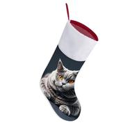 LLUTSNTH Personalized Christmas Stockings 16.5 Inch - A Gray Cat is Lying Large Plush Xmas Stockings, Rustic Cozy Hanging Xmas Stocking Decorations for Family Holiday Christmas Party Decorations