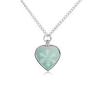 LLUTSNTH Pet Cremation Jewelry for Ashes Snowflake Pendant Heart Pet Urn Necklace Memorial Keepsake Jewelry for Animal Gift with Filling Kit