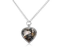 LLUTSNTH Pet Cremation Jewelry for Ashes Steam Train Pendant Heart Pet Urn Necklace Memorial Keepsake Jewelry for Animal Gift with Filling Kit