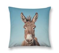LLUTSNTH Real Image of Donkey Throw Pillow Cover 16 "x16, Cute Cushion Cover Decorative Pillow Case with Invisible Zipper - Plush Farmhouse Fall Decor Pillowcase for Couch, Sofa, Bedroom