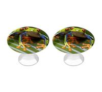 LLUTSNTH Red Eyed Tree Frog Cabinet Knobs 2 Pack Drawer Pulls Stainless Steel Dresser Knobs Rustic Decorative Cabinet Pull Easy Install Wardrobes Handle with Screws Door Handles Furniture Hardware