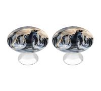 LLUTSNTH Sea Penguin Kitchen Cabinet Knobs Drawer Pulls Dresser Knobs Cabinet Pull Modern Dresser Handle Stainless Steel Drawer Handles Door Handles Cupboard Pulls 2Pcs