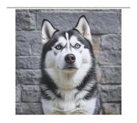 LLUTSNTH Shower Curtain Set with 12 Hooks - Husky Dog Heavy Duty Curtains for Bathroom, 69.69x70.87Inch（177x180cm） Waterproof Fabric Farmhouse Bath Curtain, Machine Washable Bathroom Decor