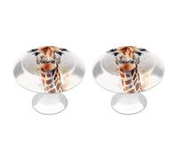 LLUTSNTH Stylish Animal Watercolor Giraffe Kitchen Cabinet Knobs Drawer Pulls Dresser Knobs Cabinet Pull Modern Dresser Handle Stainless Steel Drawer Handles Door Handles Cupboard Pulls 2Pcs