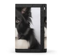 LLUTSNTH Tabby Cat Pictures Trifold Wallet for Men - Slim 8 Card Slots, Zipper Coin Purse Money Clip, Cash Compartment, Border Collie, One Size, Modern