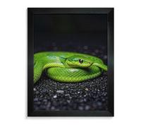 LLUTSNTH The Green Snake Diamond Painting Kits for Adults 5D DIY Drill Diamond Art Kits Arts and Crafts for Beginners Sparkling Home Wall Decor Painting for Living Room Bedroom Blackwood 40 * 50cm
