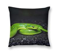 LLUTSNTH The Green Snake Throw Pillow Cover 20 "x20, Cute Cushion Cover Decorative Pillow Case with Invisible Zipper - Plush Farmhouse Fall Decor Pillowcase for Couch, Sofa, Bedroom