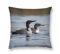 LLUTSNTH Throw Pillow Covers Loon Birds Double-Sided Farmhouse Cushion Covers Decorative Throw Pillowcase with Hidden Zipper Lumbar Pillow Cover for Sofa Bed Living Room Outdoor Decor 20 "x20