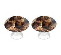LLUTSNTH Two Lions Kitchen Cabinet Knobs Drawer Pulls Dresser Knobs Cabinet Pull Modern Dresser Handle Stainless Steel Drawer Handles Door Handles Cupboard Pulls 2Pcs