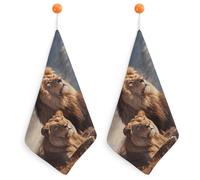 LLUTSNTH Two Lions Kitchen Towels Set -2PCS Super Absorbent Hand Towels, Soft Face Towel Set with Hanging Loop Lightweight Quick Dry Microfiber Dish Towels for Yoga Camping Hotel Spa Travel