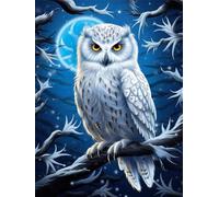 LLWYH Paint by Numbers Bird, Large Paint by Numbers for Adults Owl 32x48 Inch, Painting by Numbers for Adults, DIY Canvas Oil Painting Kits Crafts for Home Wall Decor Gifts (Without Frame) -YH853