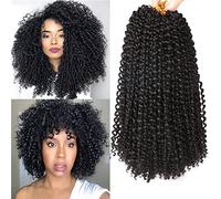 LLZBEAUTYHair 6Bundles/Lot Passion Twist Hair Marlybob Crochet Braids Hair Kinky Curly Crochet Hair Marly Twist Crochet Hair Short Crochet Hair Extensions for Black Women (12Inchs(6bundles ), 1B#)