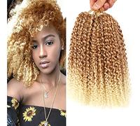 LLZBEAUTYHair 6Bundles/Lot Passion Twist Hair Marlybob Crochet Braids Hair Kinky Curly Crochet Hair Marly Twist Short Crochet Hair Extensions for Black Women (12Inchs(6bundles ), #T27-613)