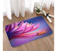 LMaFCaIGU Door Mats Indoor Outdoor,Absorbent,Non-Slip,Washable Rug,Chrysanthemum Painted Crazy Multicolor Rainbow,40 * 60CM
