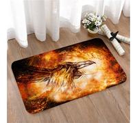 LMaFCaIGU Door Mats Indoor Outdoor,Absorbent,Non-Slip,Washable Rug,Ornamental Raven Drawing With Feathers In Cosmic Space,40 * 60CM
