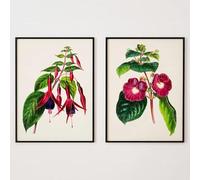 LMAIWANG Vintage Wine Colored Art Print Set, Set of Two Giclee Prints of Vintage Illustrations from the Modern Style Home Decor 30x45cmx2 Frameless