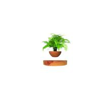 LMingKun Planting Flower pots,Levitating Plant Pot,Magnetic levitation,Floating Plant Pot,Floating Plant,Hanging Flower pots,Suspendded Flowerpot,Floating Plant Pot,Hanging planters for Indoor Plants