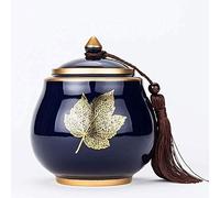 LMMSHA The Last Warmth Urns for Human Ashes Cremation Urn by Funeral Urn for Human Ashes Adult Medium Size Colorful Life Ash Canister