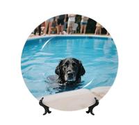 LMNGH Black dog in the pool Bone China Decorative Plate,8in（20cm） Ceramic Decorative Plates with Display Stand,Ceramic Ornaments Art Porcelain Plate for Home Office Wall Decor Collections Plates