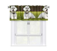 LMNGH Cute Bichon Frise Dog Curtain Valance for Windows,Kitchen Window Curtains Blackout Drapes Window Treatments Decorative Rod Pocket Short Curtain for Living Room Bedroom,54" W x 18" L