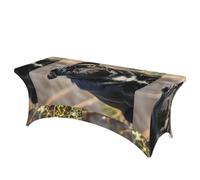 LMNGH Cute Black Pug Dog Decorative Tablecloth Protector for Wedding, Banquet & Parties6FT Spandex Rectangle Tablecloths, Stretch Washable Table Cloth Wrinkle Free Patio Table Cover