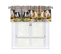 LMNGH Cute GuineaPig Curtain Valance for Windows,Kitchen Window Curtains Blackout Drapes Window Treatments Decorative Rod Pocket Short Curtain for Living Room Bedroom,54" W x 18" L