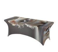 LMNGH Cute Pomeranian Decorative Tablecloth Protector for Wedding, Banquet & Parties6FT Spandex Rectangle Tablecloths, Stretch Washable Table Cloth Wrinkle Free Patio Table Cover