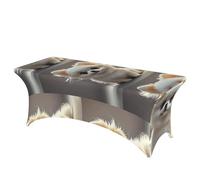 LMNGH Cute Pomeranian Decorative Tablecloth Protector for Wedding, Banquet & Parties6FT Spandex Rectangle Tablecloths, Stretch Washable Table Cloth Wrinkle Free Patio Table Cover
