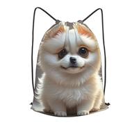 LMNGH Drawstring Backpack Woemn Men Sports Gym Sack Lightweight Drawstring Bags Cute Pomeranian Cinch Bag Sackpack For Work Swim Travel