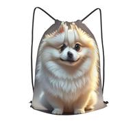 LMNGH Drawstring Backpack Woemn Men Sports Gym Sack Lightweight Drawstring Bags Lovely Pomeranian Cinch Bag Sackpack For Work Swim Travel