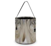 LMNGH Gift Bags with Handle Tote Candy Bags Portable Gift Bucket Beautifully Two Wolves Walking in The Snow Printed Candy Bag Candy Basket Tote