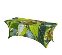 LMNGH Green Leaves and Birds Decorative Tablecloth Protector for Wedding, Banquet & Parties6FT Spandex Rectangle Tablecloths, Stretch Washable Table Cloth Wrinkle Free Patio Table Cover