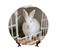 LMNGH Rabbit in the cage Bone China Decorative Plate,7in Ceramic Decorative Plates with Display Stand,Ceramic Ornaments Art Porcelain Plate for Home Office Wall Decor Collections Plates
