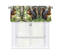 LMNGH Squirrel in the Woods Curtain Valance for Windows,Kitchen Window Curtains Blackout Drapes Window Treatments Decorative Rod Pocket Short Curtain for Living Room Bedroom,54" W x 18" L