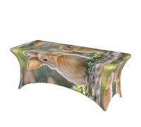 LMNGH Two Little Cute Rabbits Decorative Tablecloth Protector for Wedding, Banquet & Parties6FT Spandex Rectangle Tablecloths, Stretch Washable Table Cloth Wrinkle Free Patio Table Cover
