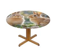 LMNGH Two Little Cute Rabbits Round Spandex Tablecloth 43 Inch, Elastic Fitted Waterproof Tablecloths Stretch Washable Picnic Table Cover for Camping, Dining, Indoor and Outdoor