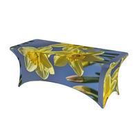 LMNGH Yellow Daffodils Flowers Decorative Tablecloth Protector for Wedding, Banquet & Parties6FT Spandex Rectangle Tablecloths, Stretch Washable Table Cloth Wrinkle Free Patio Table Cover