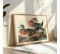 Lmovutcom Retro American Widgeon Print, Vintage James Audubon Poster, Birds of America Art, Gift for Men, Women & Animal Lover, Decor for Dorm, Living Room or Bedroom, Unframed Wall Art
